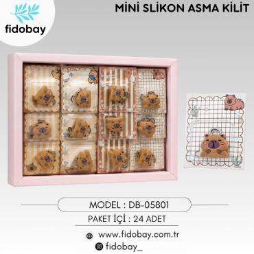 DB-05801 - MİNİ SLİKON ASMA KİLİT