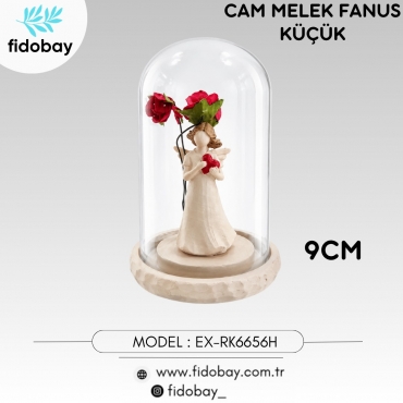 EX-RK6656H - CAM MELEK FANUS KÜÇÜK