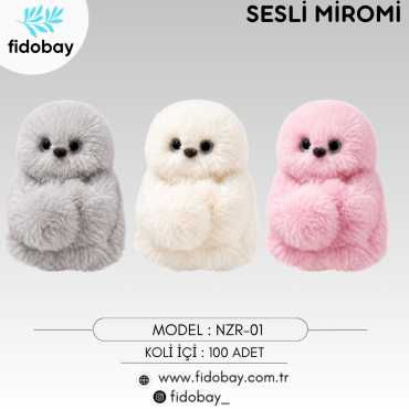 NZR-01 - SESLİ MİROMİ
