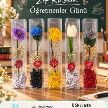 RYN-11 - ÖĞRETMEN ŞEFFAF KUTU GÜL
